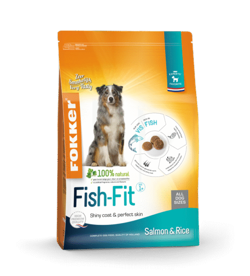 Fokker Dog Fish-Fit