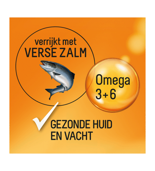 Fokker Dog Fish-Fit - Afbeelding 4